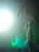 muetotem4